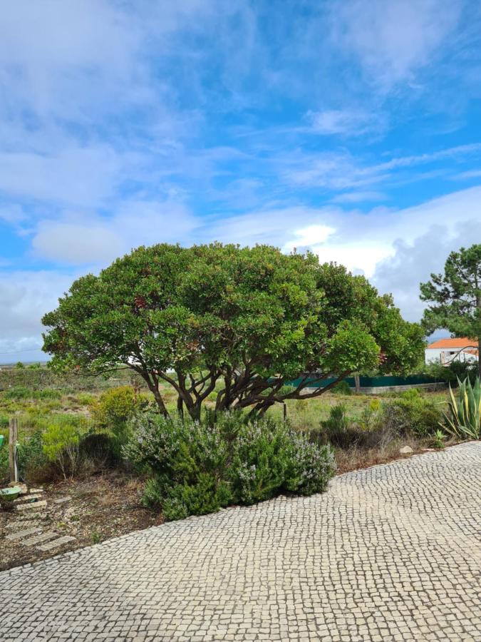 Casa Ensolarada B&B And Pottery Aljezur Buitenkant foto